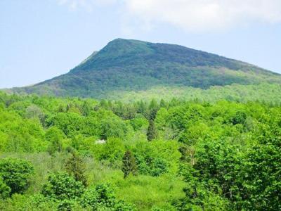 Caloroczne Domki Zacisze Hnatowego Berda W Wetlinie Wetlina Εξωτερικό φωτογραφία