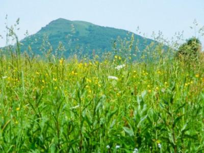 Caloroczne Domki Zacisze Hnatowego Berda W Wetlinie Wetlina Εξωτερικό φωτογραφία